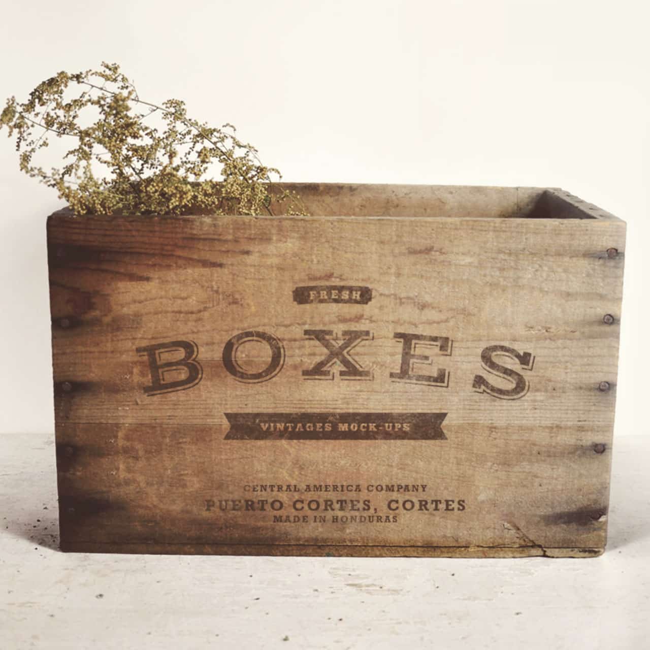 Box